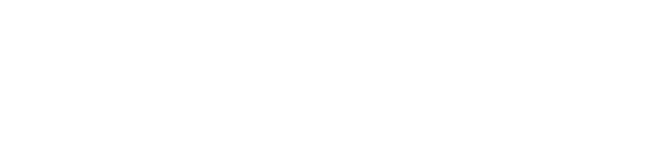 Salzburg Global Seminar Inc. logo