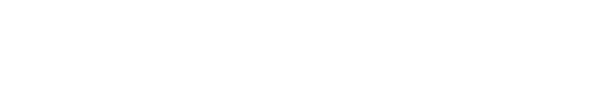 Namecheap Inc logo
