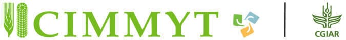 CIMMYT logo