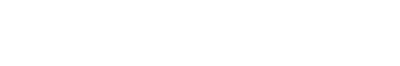 Brightvision logo