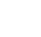 WEL Networks logo