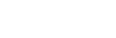 Lace Lithography logo